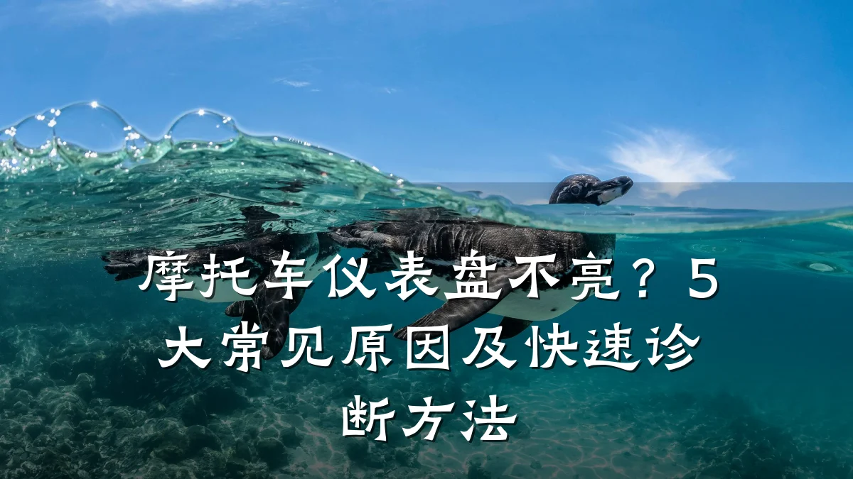 摩托车仪表盘不亮?5大常见原因及快速诊断方法