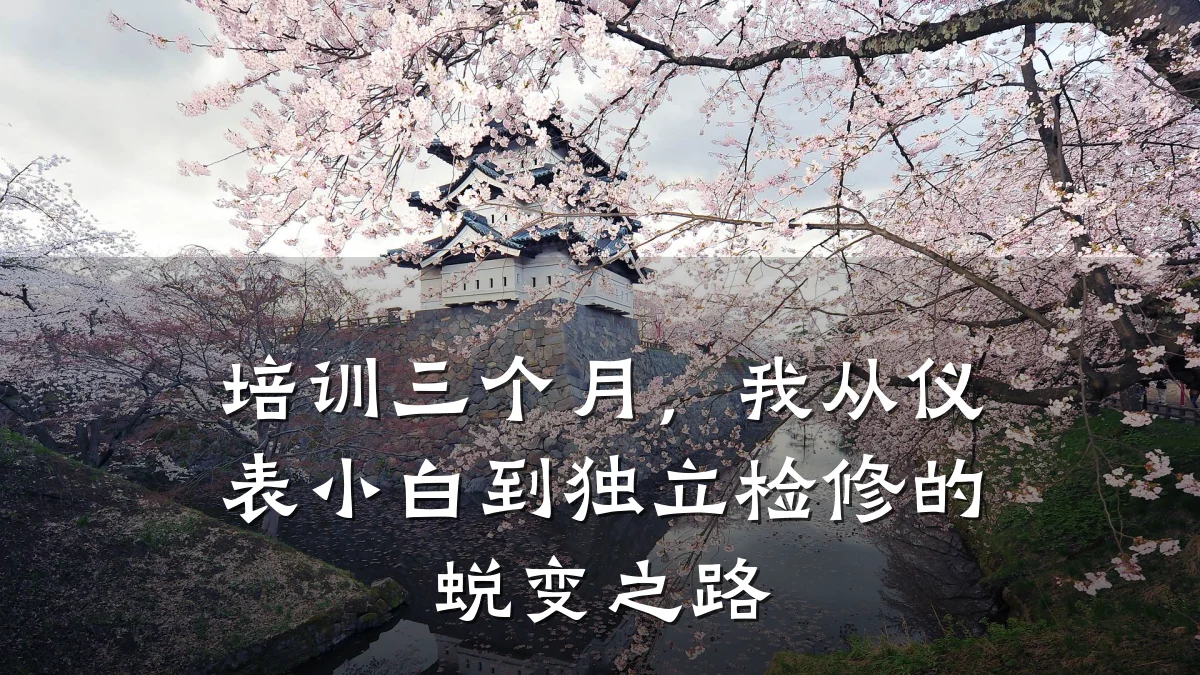 培训三个月，我从仪表小白到独立检修的蜕变之路
