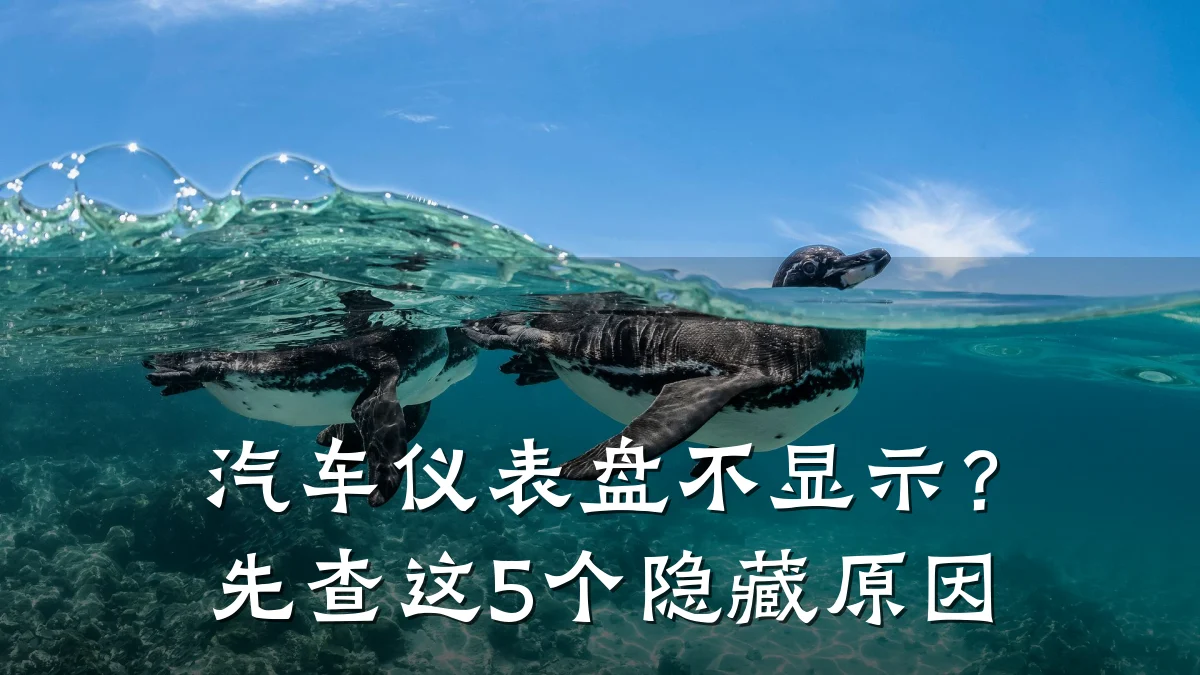 汽车仪表盘不显示?先查这5个隐藏原因