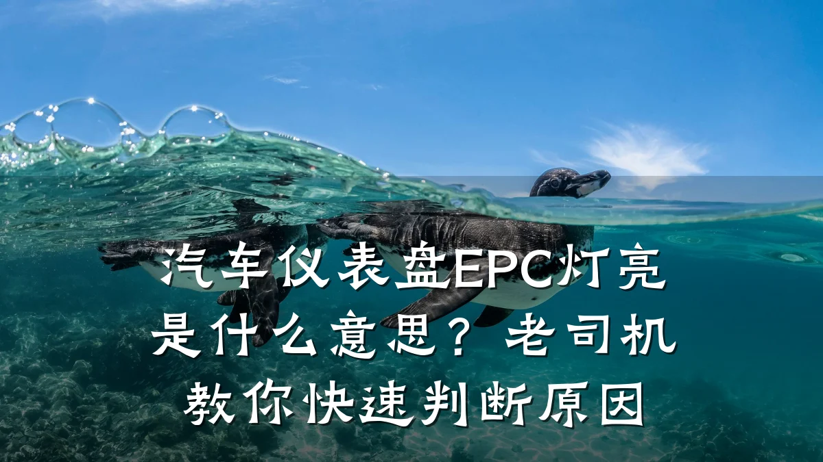 汽车仪表盘EPC灯亮是什么意思？老司机教你快速判断原因