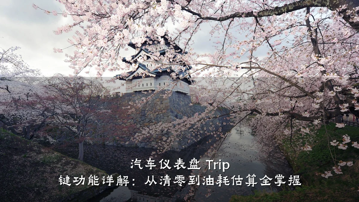 汽车仪表盘 Trip 键功能详解:从清零到油耗估算全掌握
