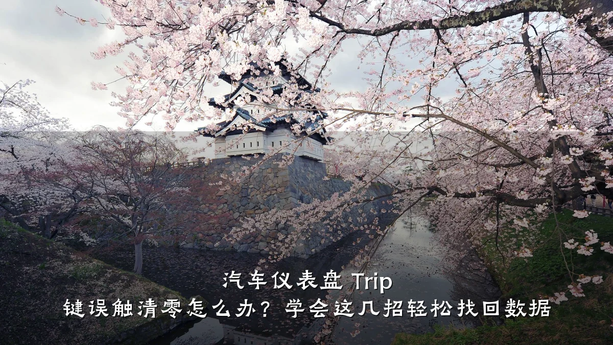 汽车仪表盘 Trip 键误触清零怎么办?学会这几招轻松找回数据