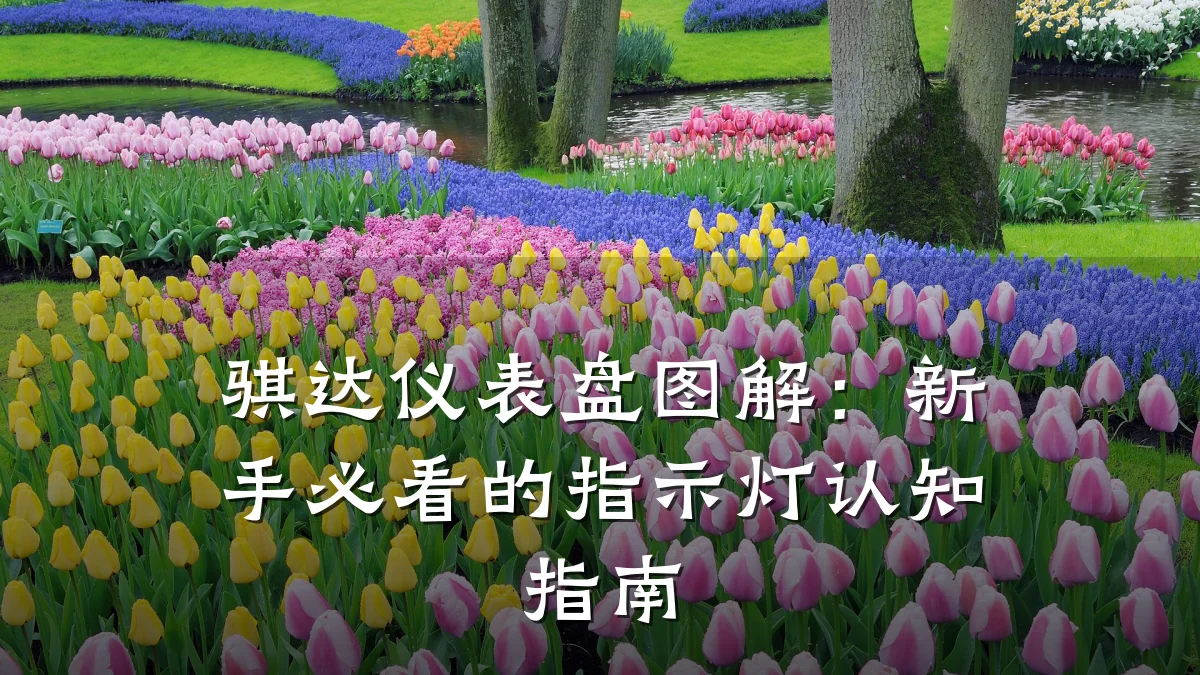 骐达仪表盘图解：新手必看的指示灯认知指南