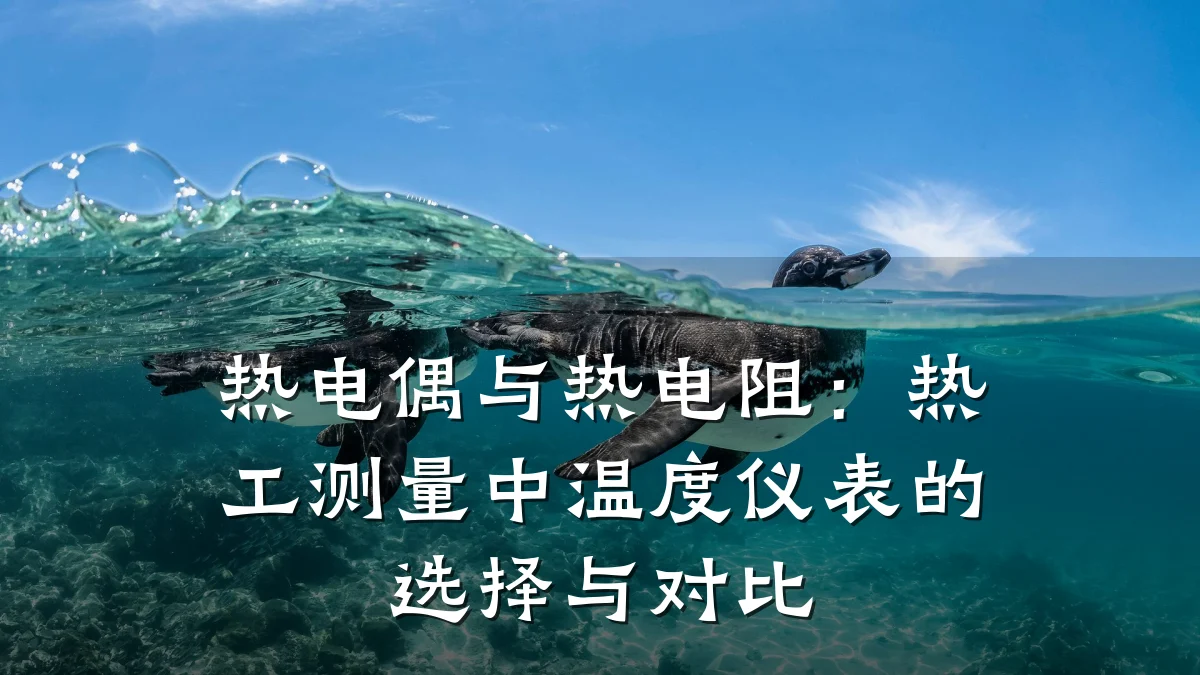 热电偶与热电阻:热工测量中温度仪表的选择与对比