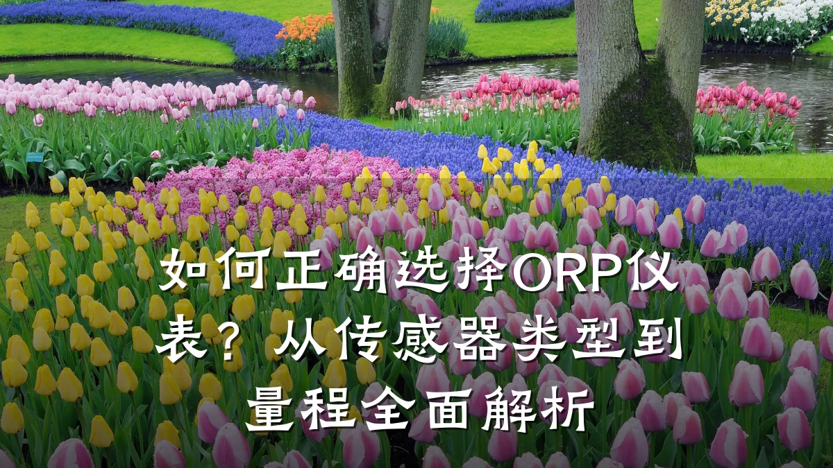 如何正确选择ORP仪表？从传感器类型到量程全面解析