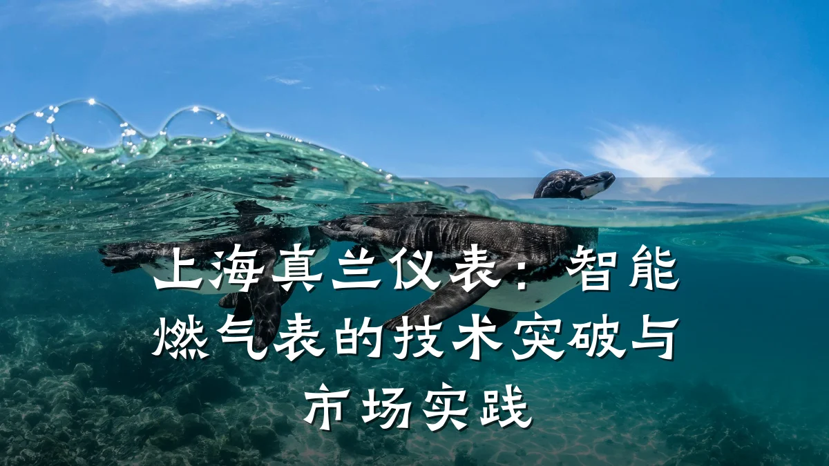 上海真兰仪表:智能燃气表的技术突破与市场实践