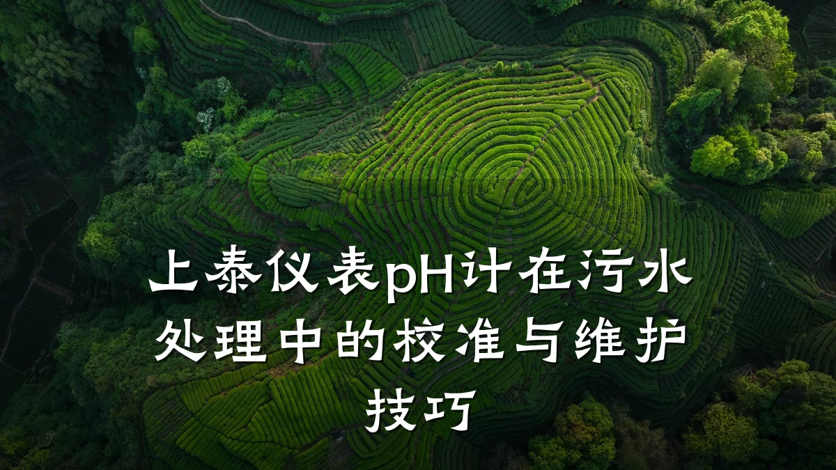上泰仪表pH计在污水处理中的校准与维护技巧