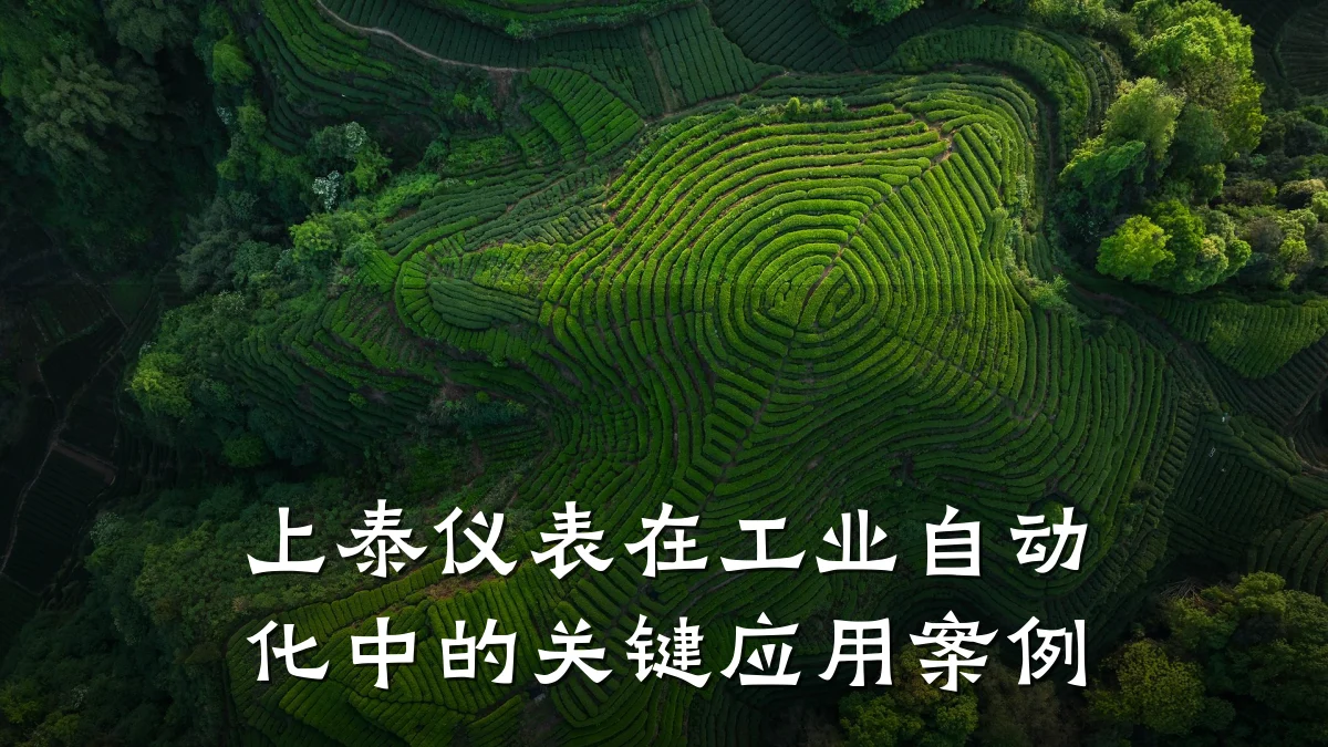上泰仪表在工业自动化中的关键应用案例