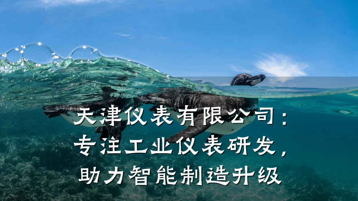 天津仪表有限公司:专注工业仪表研发,助力智能制造升级