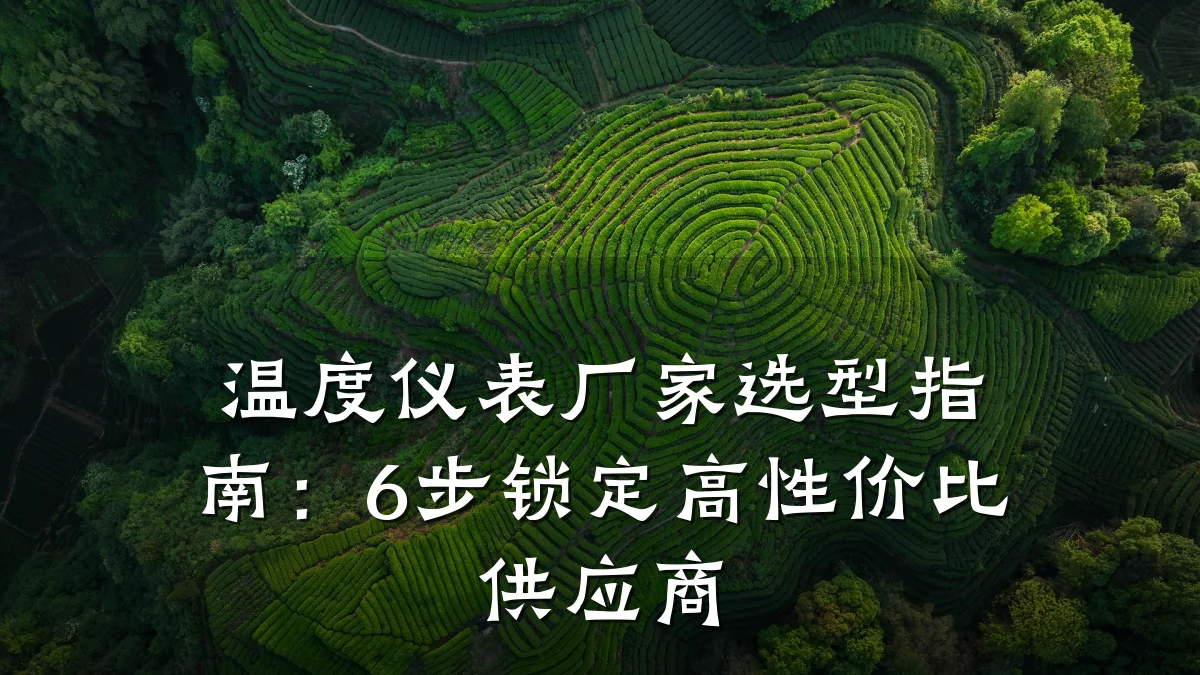 温度仪表厂家选型指南:6步锁定高性价比供应商