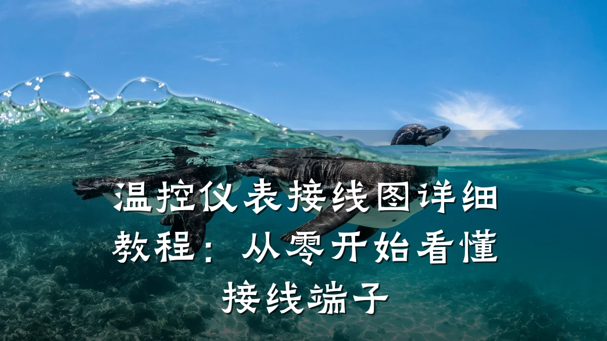 温控仪表接线图详细教程：从零开始看懂接线端子