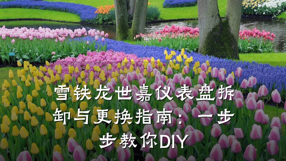 雪铁龙世嘉仪表盘拆卸与更换指南:一步步教你DIY