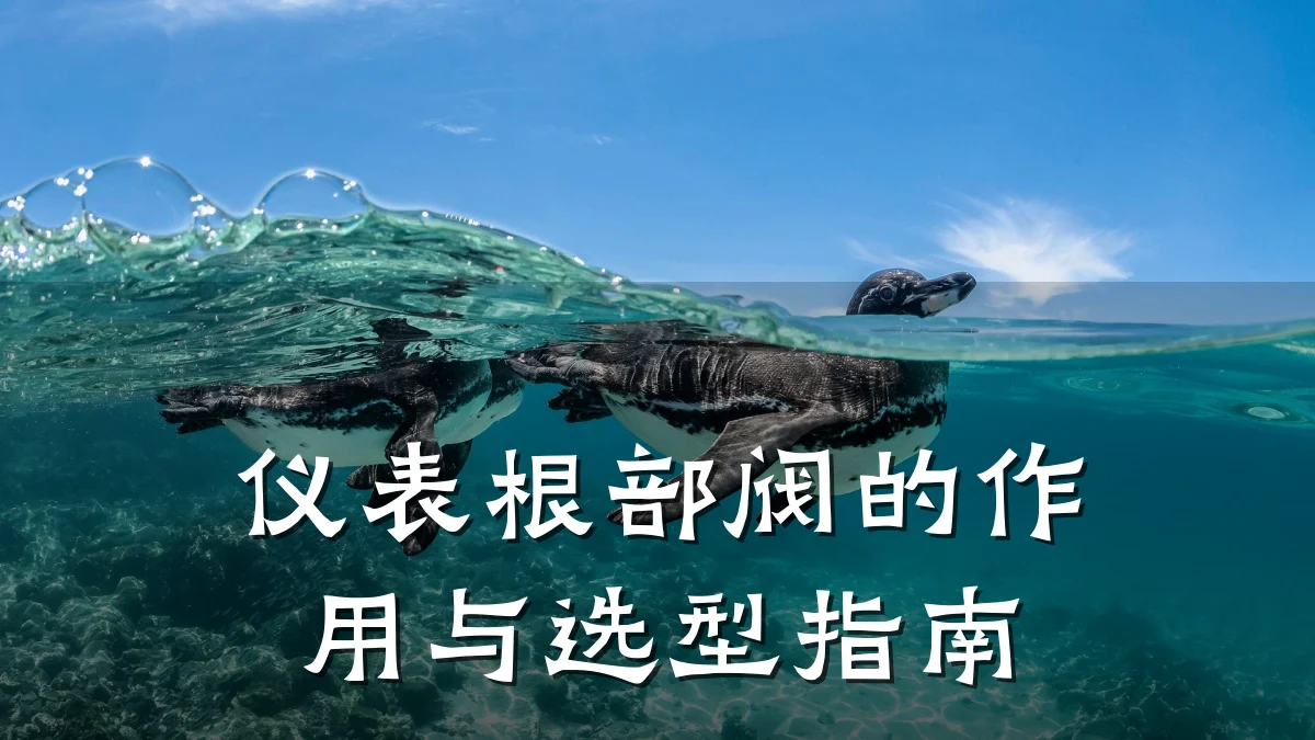 仪表根部阀的作用与选型指南