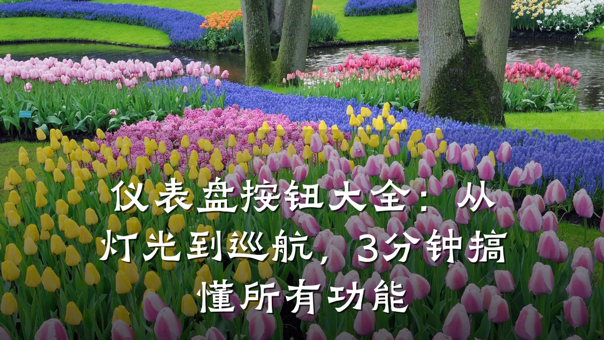 仪表盘按钮大全：从灯光到巡航，3分钟搞懂所有功能