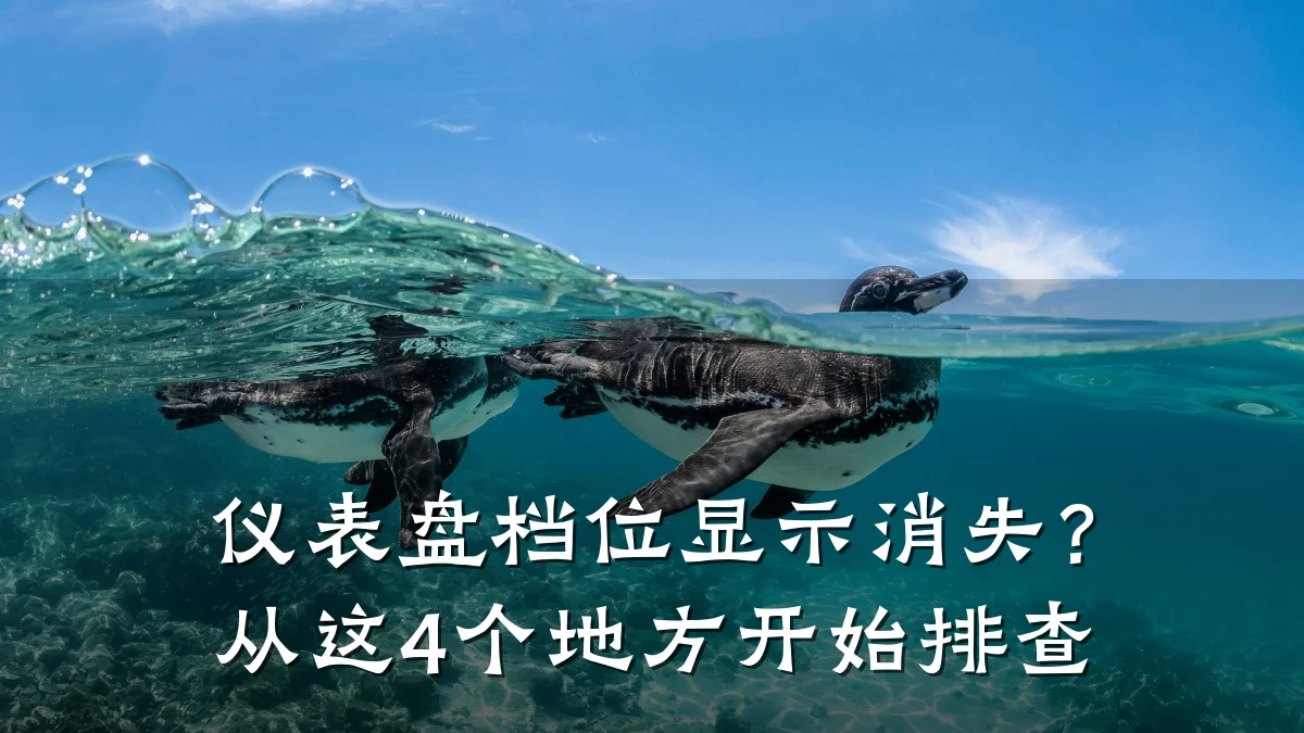 仪表盘档位显示消失?从这4个地方开始排查