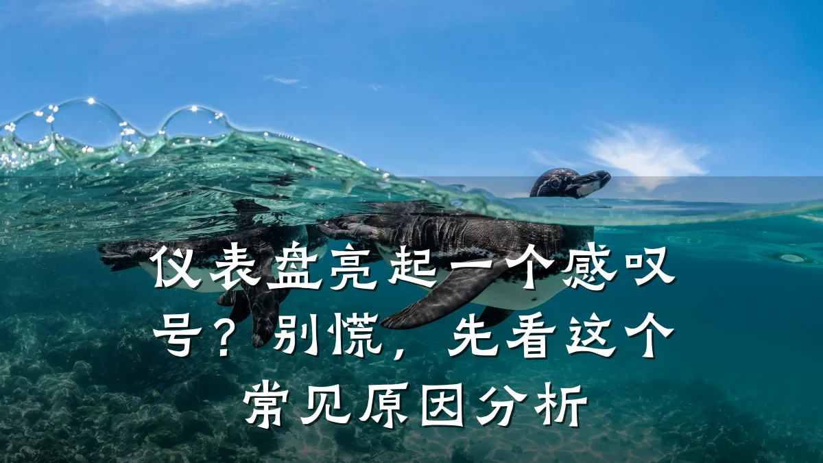 仪表盘亮起一个感叹号?别慌,先看这个常见原因分析