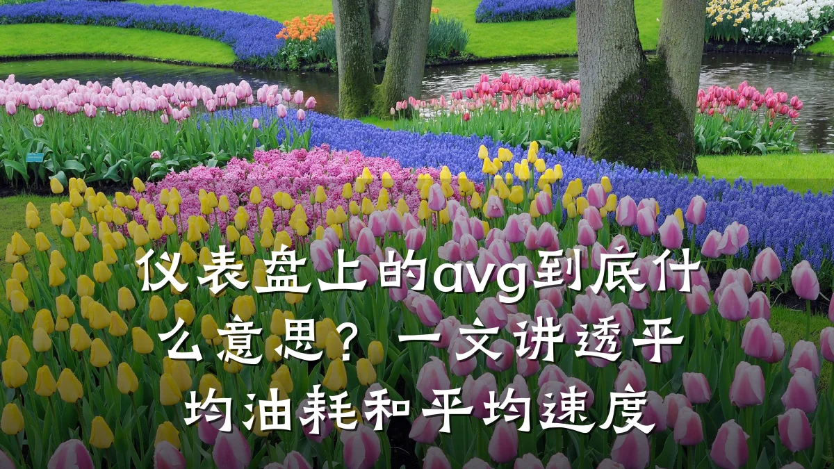 仪表盘上的avg到底什么意思?一文讲透平均油耗和平均速度