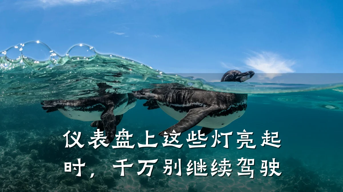 仪表盘上这些灯亮起时,千万别继续驾驶