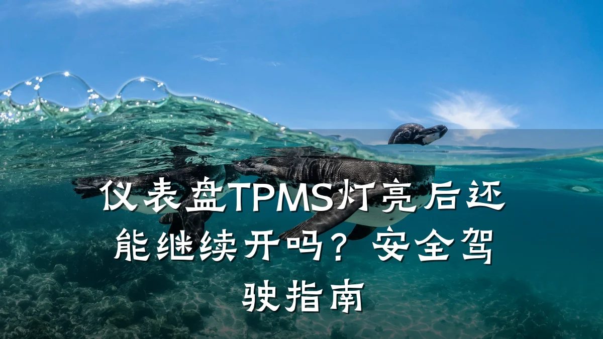 仪表盘TPMS灯亮后还能继续开吗？安全驾驶指南