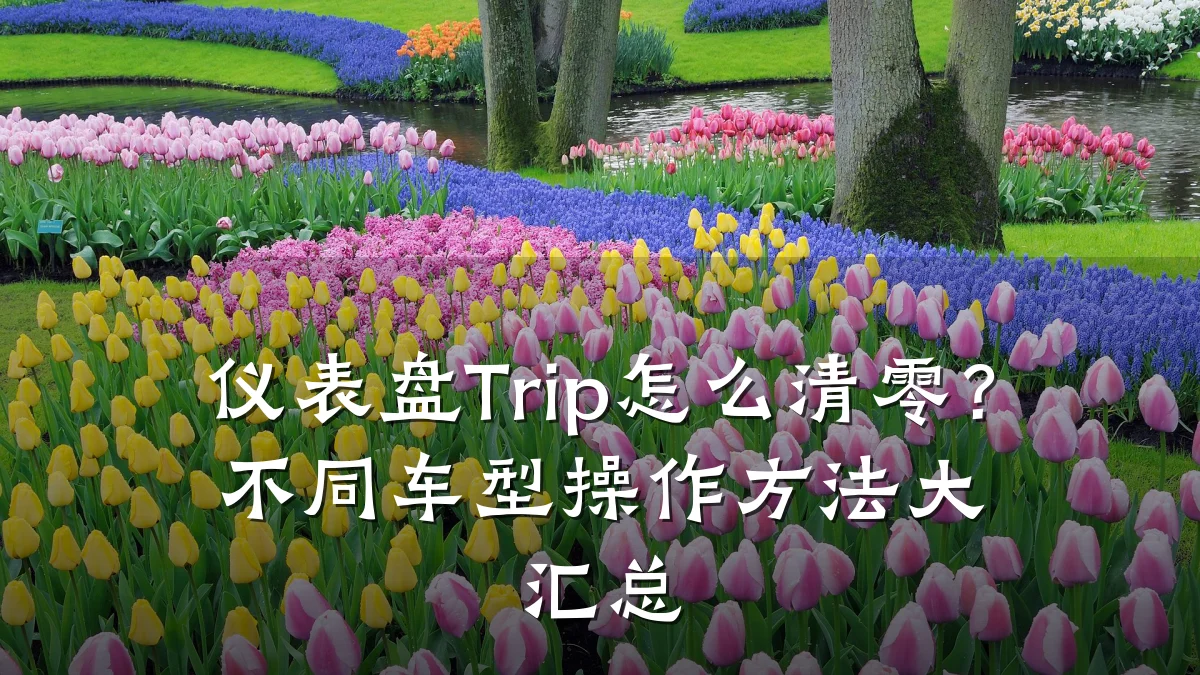 仪表盘Trip怎么清零?不同车型操作方法大汇总