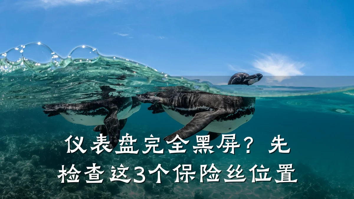 仪表盘完全黑屏?先检查这3个保险丝位置