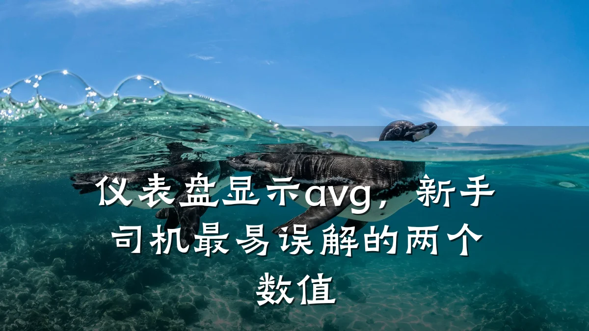 仪表盘显示avg,新手司机最易误解的两个数值