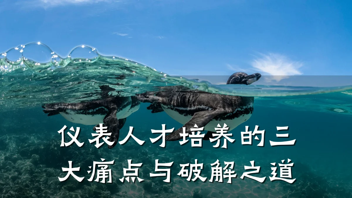 仪表人才培养的三大痛点与破解之道