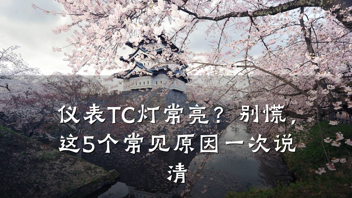 仪表TC灯常亮?别慌,这5个常见原因一次说清