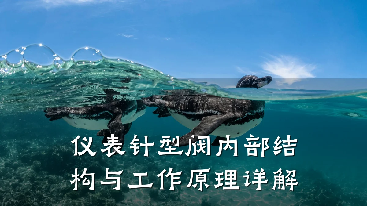 仪表针型阀内部结构与工作原理详解
