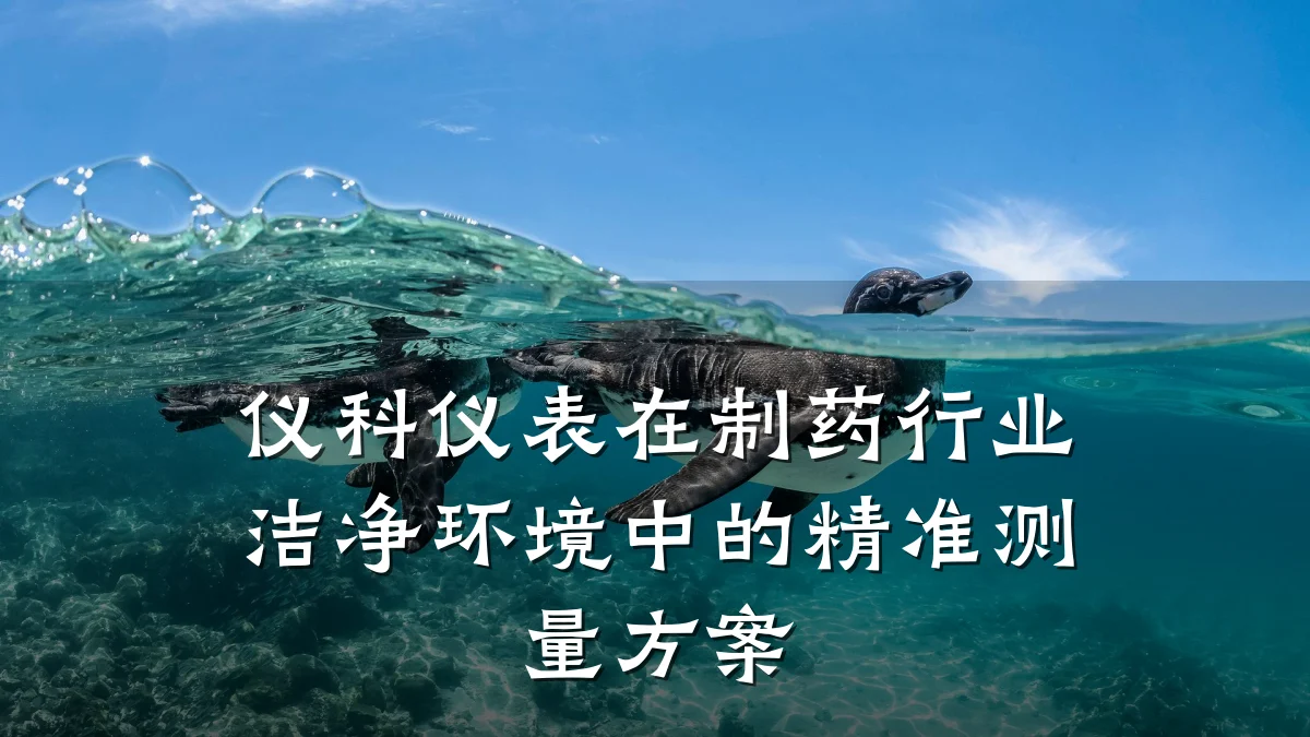 仪科仪表在制药行业洁净环境中的精准测量方案