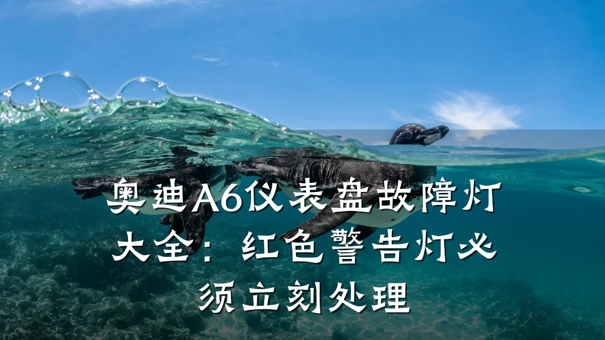 奥迪A6仪表盘故障灯大全:红色警告灯必须立刻处理