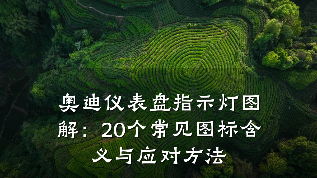 奥迪仪表盘指示灯图解:20个常见图标含义与应对方法