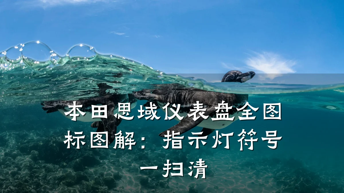 本田思域仪表盘全图标图解:指示灯符号一扫清