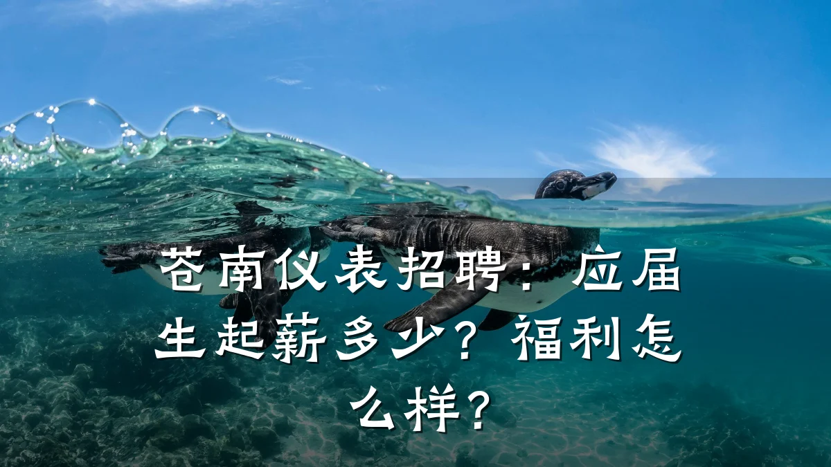 苍南仪表招聘：应届生起薪多少？福利怎么样？