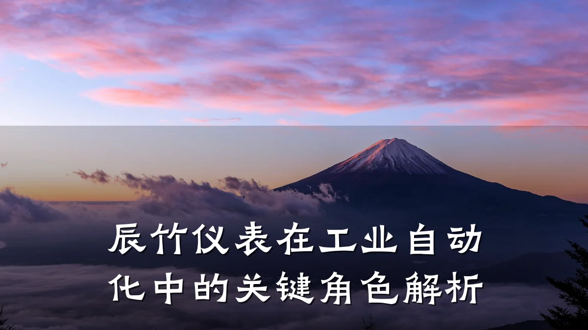 辰竹仪表在工业自动化中的关键角色解析