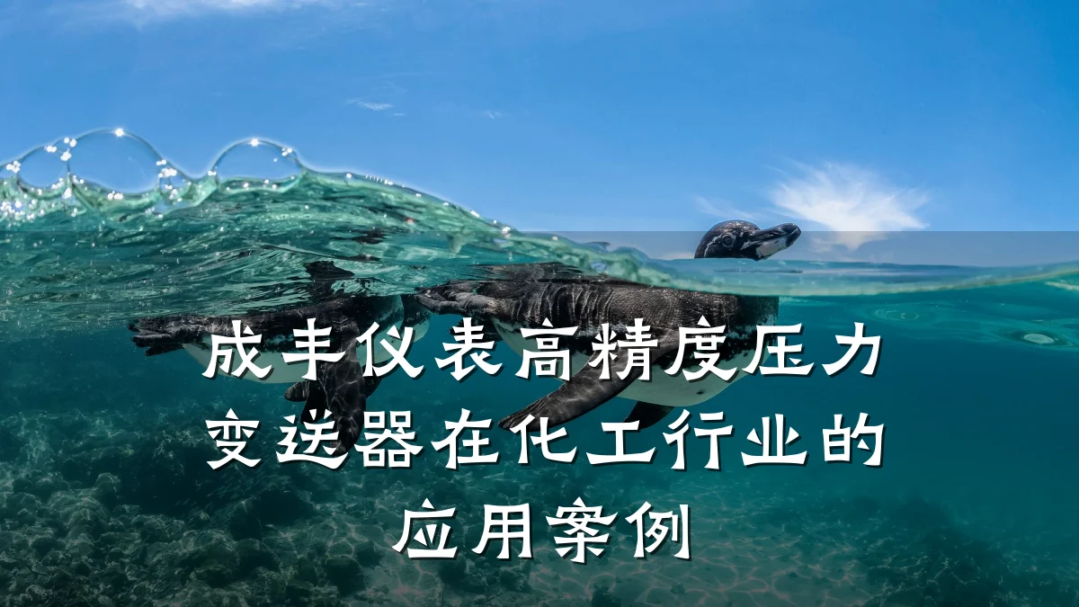 成丰仪表高精度压力变送器在化工行业的应用案例