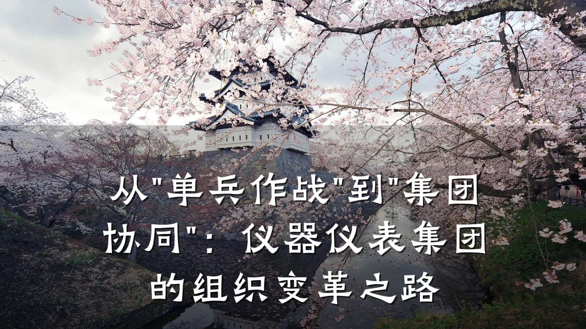 从"单兵作战"到"集团协同"：仪器仪表集团的组织变革之路
