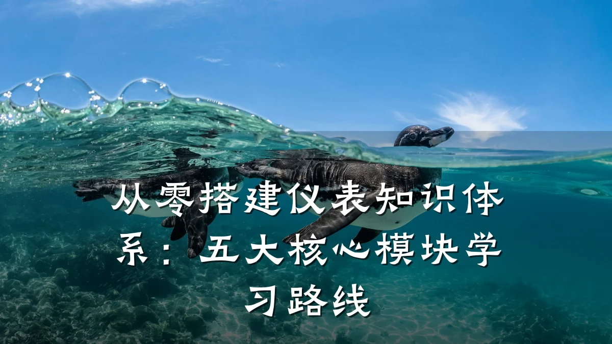 从零搭建仪表知识体系：五大核心模块学习路线
