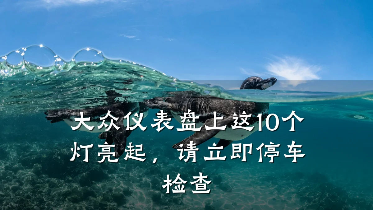 大众仪表盘上这10个灯亮起，请立即停车检查