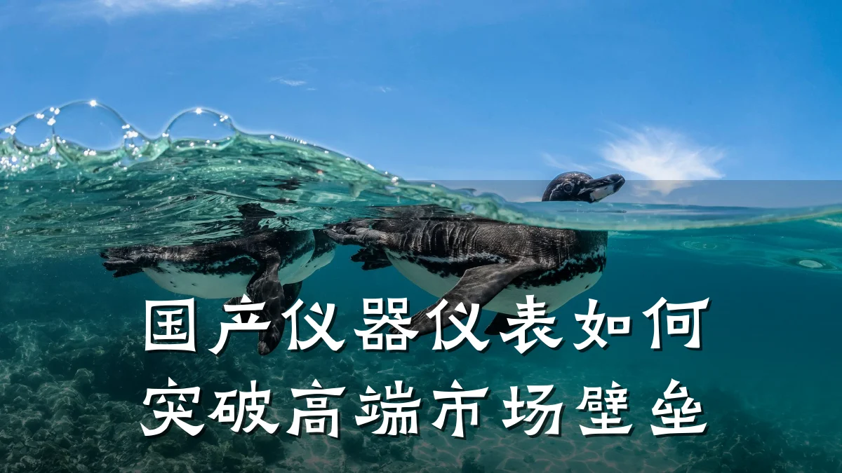 国产仪器仪表如何突破高端市场壁垒