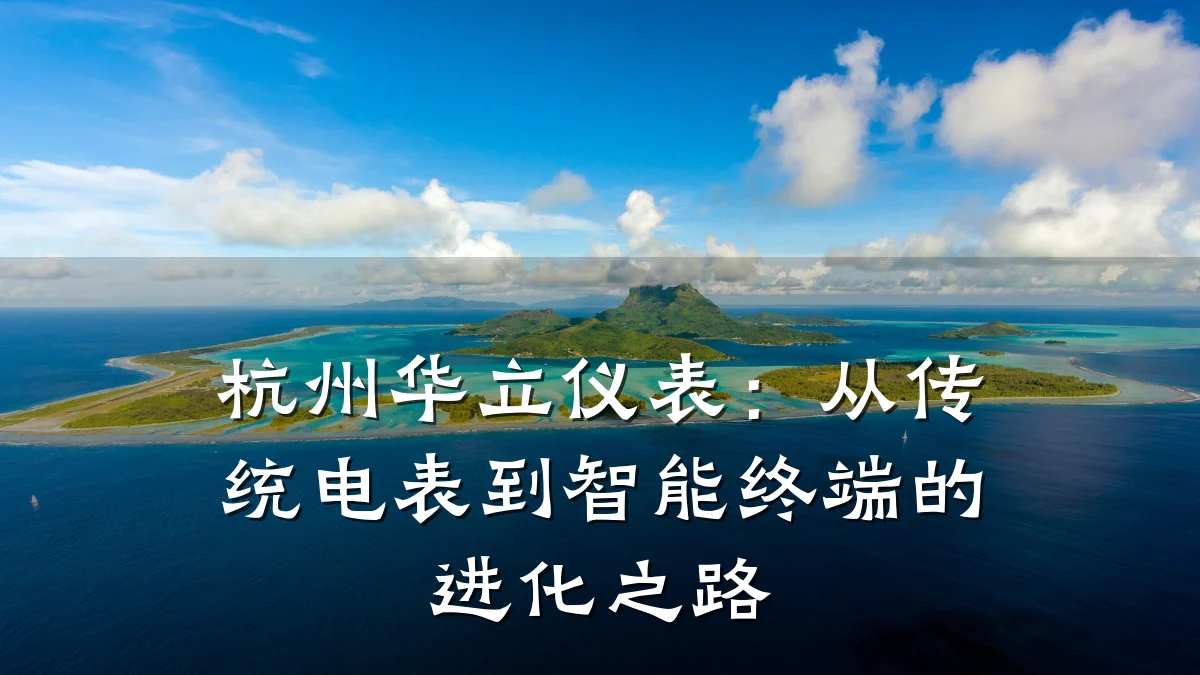杭州华立仪表：从传统电表到智能终端的进化之路