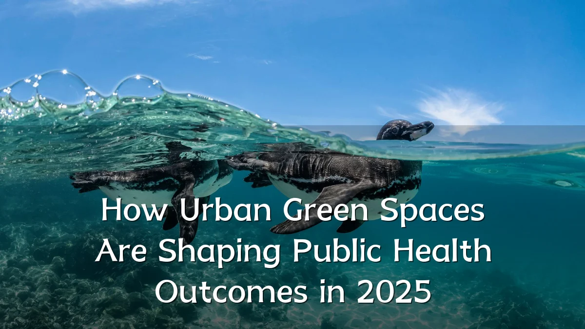 How Urban Green Spaces Are Shaping Public Health Outcomes in 2025