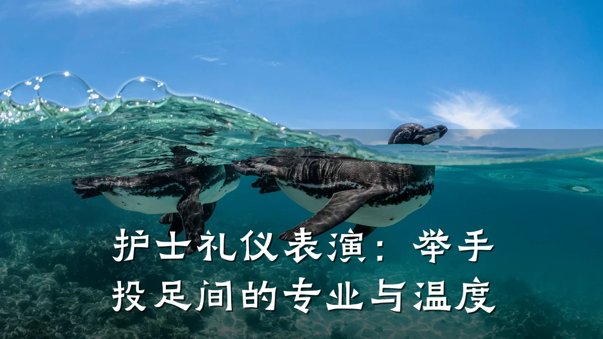 护士礼仪表演:举手投足间的专业与温度