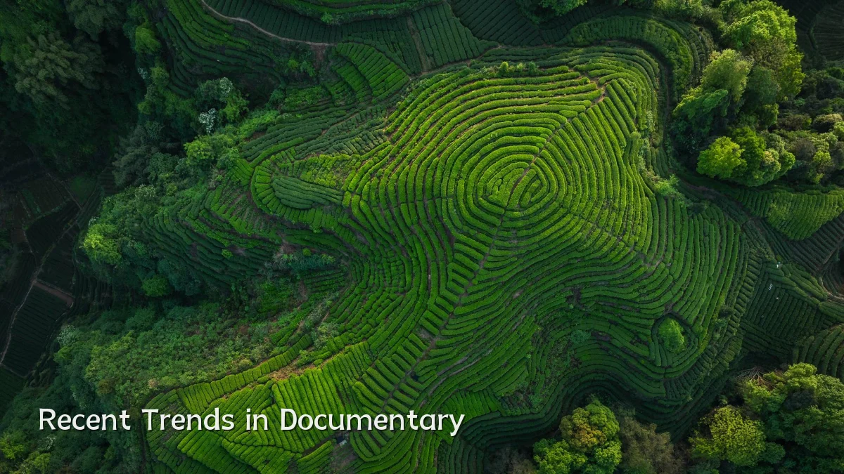 Recent Trends in Documentary