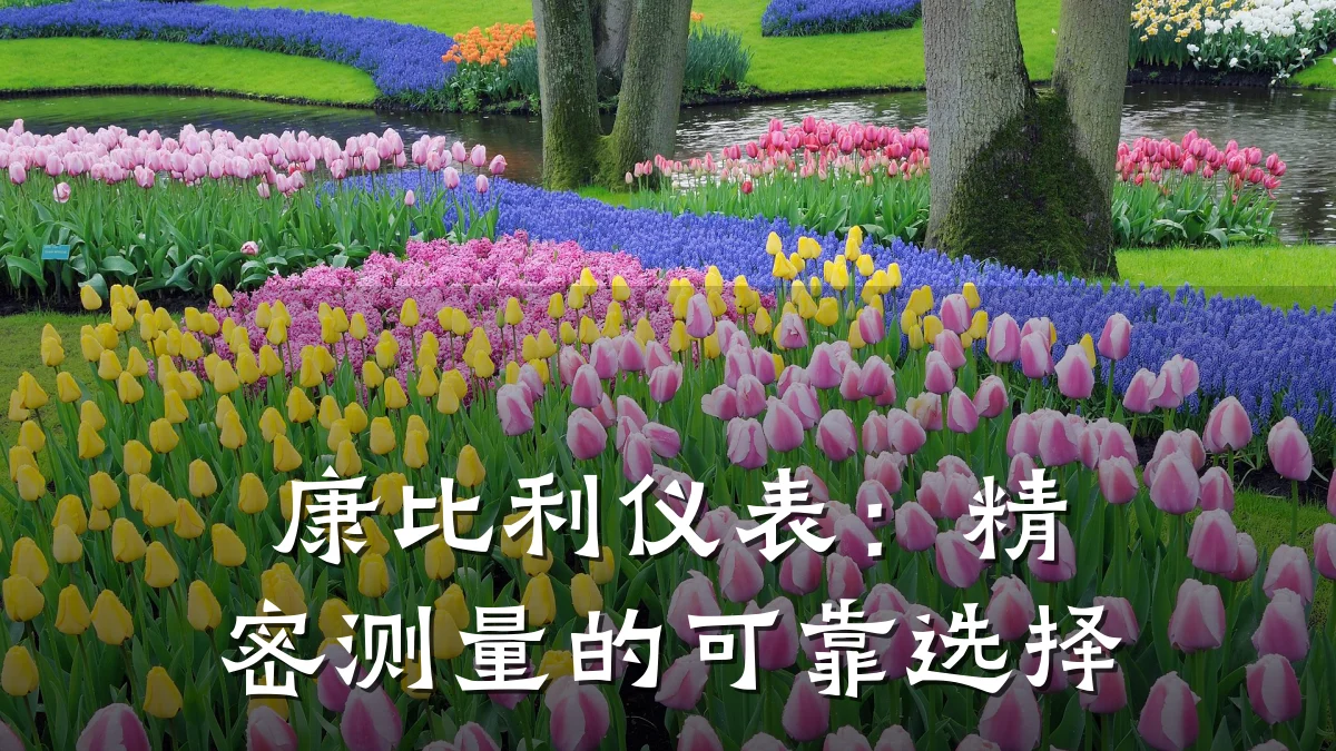 康比利仪表:精密测量的可靠选择