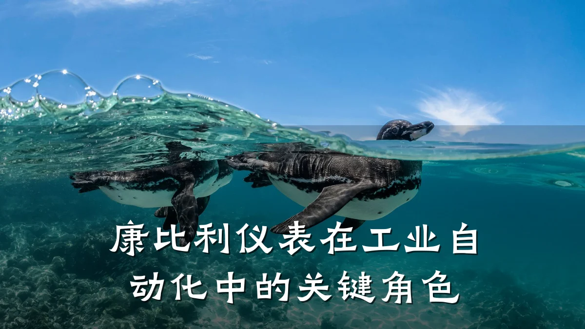 康比利仪表在工业自动化中的关键角色
