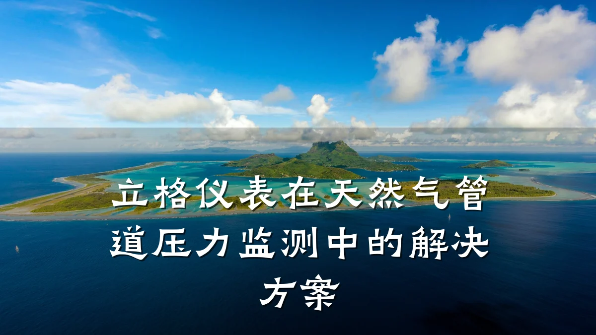 立格仪表在天然气管道压力监测中的解决方案