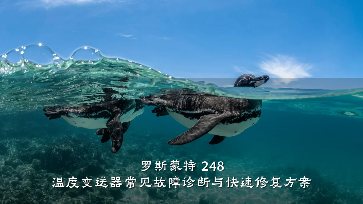 罗斯蒙特 248 温度变送器常见故障诊断与快速修复方案