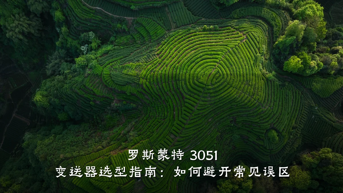 罗斯蒙特 3051 变送器选型指南:如何避开常见误区