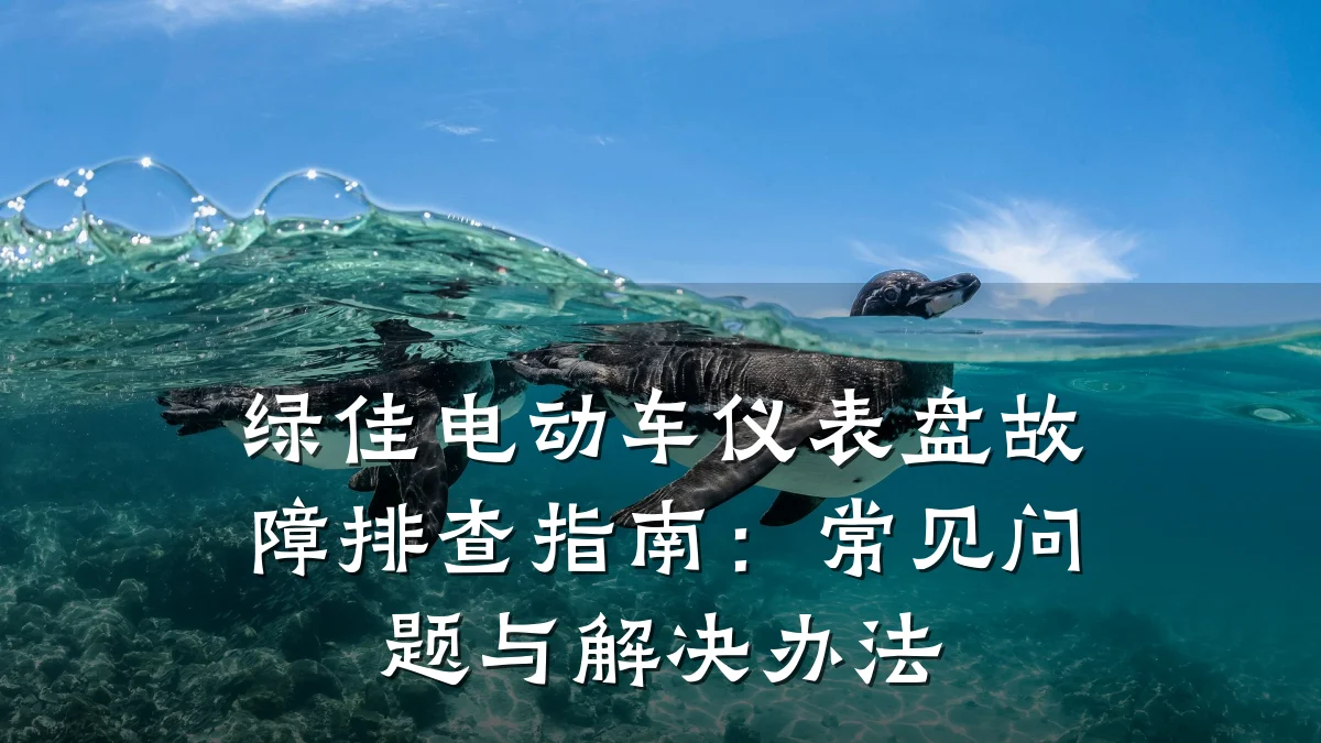 绿佳电动车仪表盘故障排查指南：常见问题与解决办法